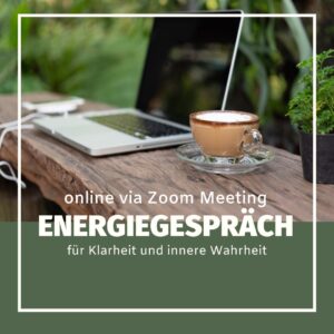 60 Min| Energiegespräch online via Zoom Meeting