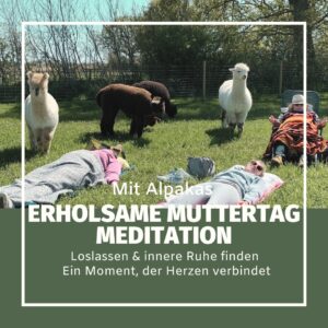 10.05.2026| So| 13h-14:30h| Erholsame Muttertag Meditation mit Alpakas, ein Moment der Herzen verbindet