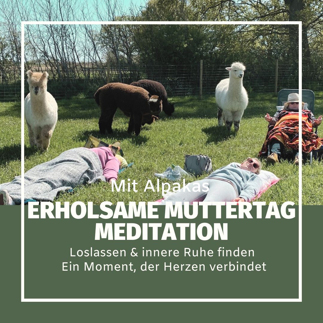 10.05.2026| So| 13h-14:30h| Erholsame Muttertag Meditation mit Alpakas, ein Moment der Herzen verbindet