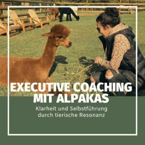 1:1 Executive Coaching mit Alpakas Klarheit durch Resonanz & Selbstführung| 60 Min
