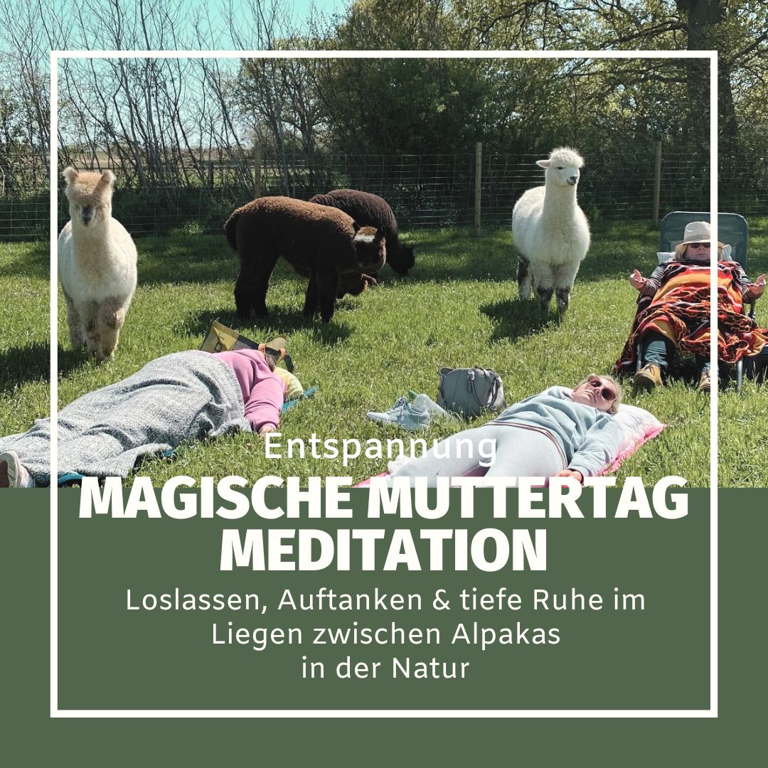 11.05.2025| So| 13h-14:30h| Erholsame Muttertag Tiefenentspannungs-Meditation mit Alpakas