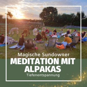 27.06.2026| Sa| 19h-20:30h| Magische Sundowner Meditation mit Alpakas: Raus aus dem Gedankenkarussell und zurück zu dir