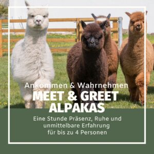 Meet & Greet Alpakas, eine Stunde Präsenz, Ruhe und unmittelbare Erfahrung für bis zu 4 Personen