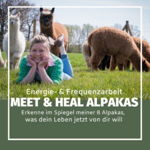 Meet & Heal Alpakas: Erkenne im Spiegel der 8 Tiere, was dein Leben jetzt von dir will