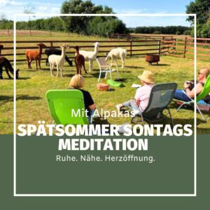 06.09.2026| So| 13h-14:30h| Erholsame Spätsommer Sonntags-Meditation mit Alpakas