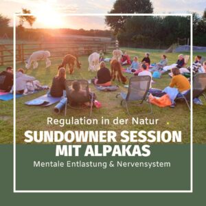 27.06.2026| Sa| 19h-20:30h| Sundowner Session mit Alpakas- Mentale Entlastung & Nervensystem-Regulation in der Natur