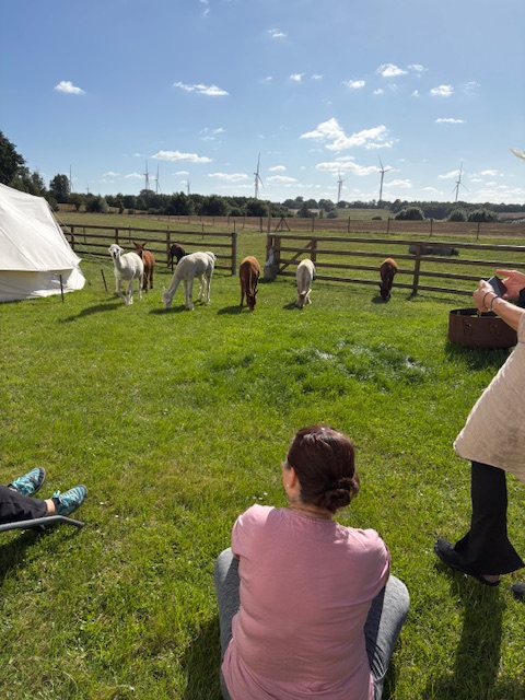 23.05.2026| Sa| 14h-16:30h| Soundhealing & Yin Yoga mit Alpakas- Klang. Berührung. Stille – Bild 8